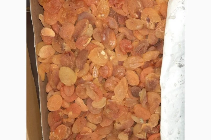 Курага Турция- фото № 2