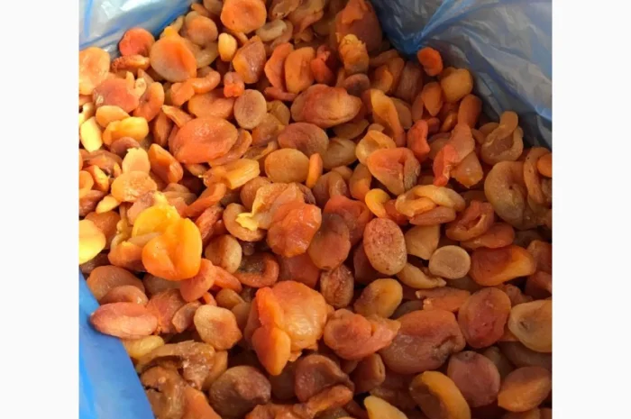 Продається курага Індустріал оптом- фото № 1