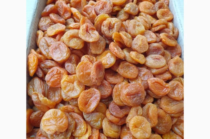 Курага Узбекистан- фото № 2