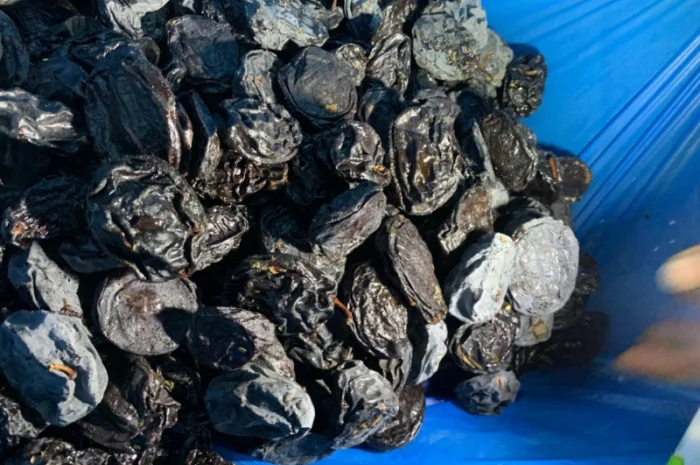 Продам сливу сушену з кісткою- фото № 2