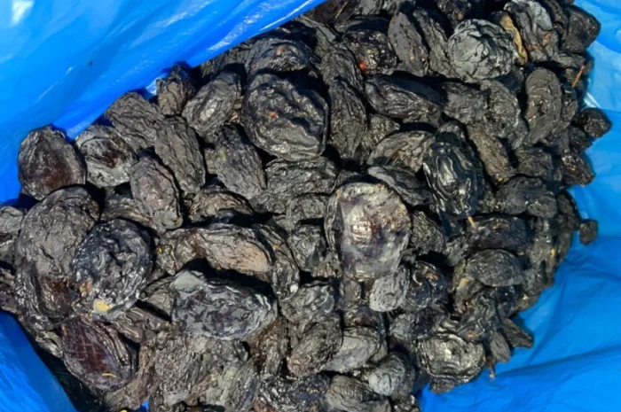 Продам сливу сушену з кісткою- фото № 5