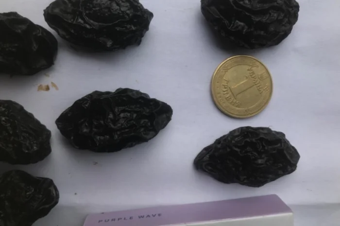 Чернослив вяленный с косточкой- фото № 1