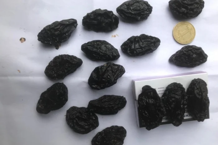 Чернослив вяленный с косточкой- фото № 2