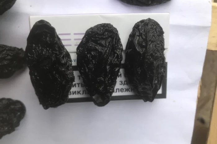 Чернослив вяленный с косточкой- фото № 3