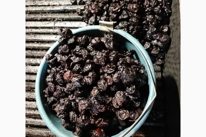 Пропоную чорнослив з кісточкою сушений на дровах. Урожай 2024. Слива черкуша- фото № 1