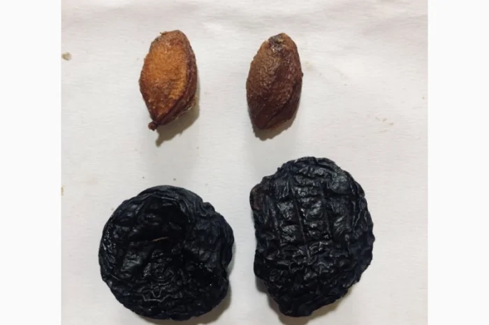 Продам вяленый чернослив- фото № 2