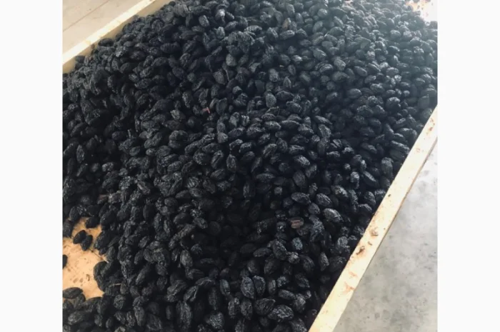 Продам вяленый чернослив- фото № 3