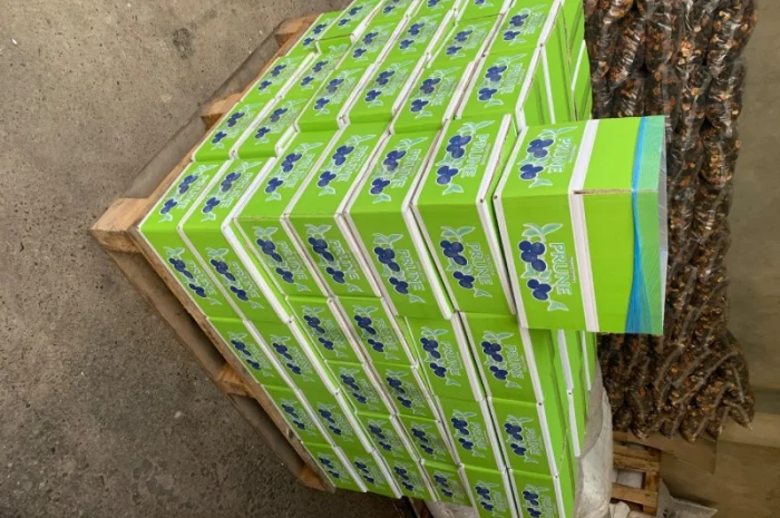 Пропонується чорнослив без кісточки- фото № 3