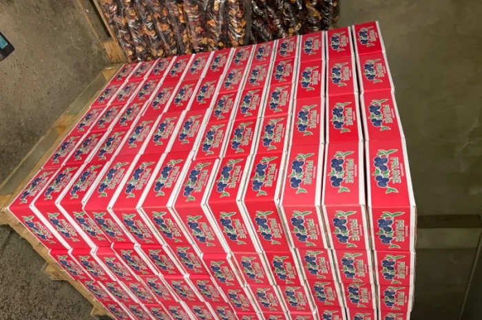 Продам чорнослив- фото № 2