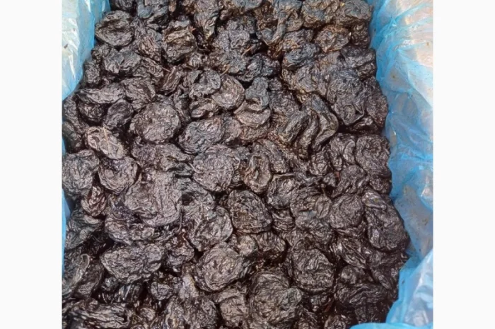 Продам ОПТ (від 3х тонн) Чернослив сорт Стенлей (Молдова)- фото № 1