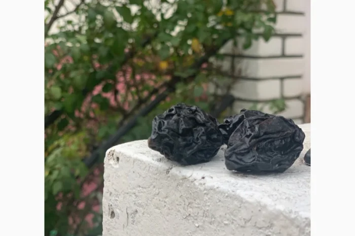 Продам чорнослив без диму натуральний- фото № 2