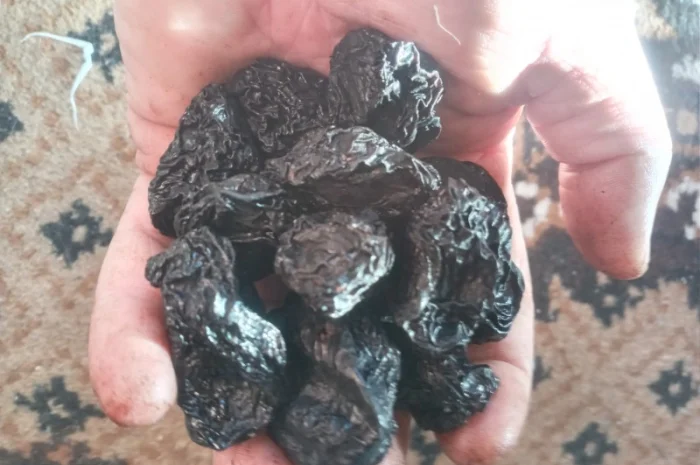 Продам чорнослив з кісткою- фото № 3