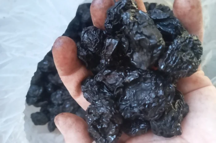 Продам чорнослив з кісткою- фото № 4