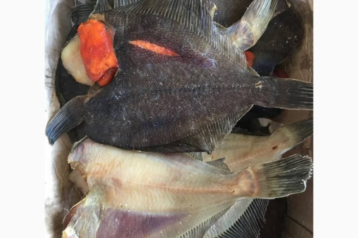 Камбала вяленая- фото № 1