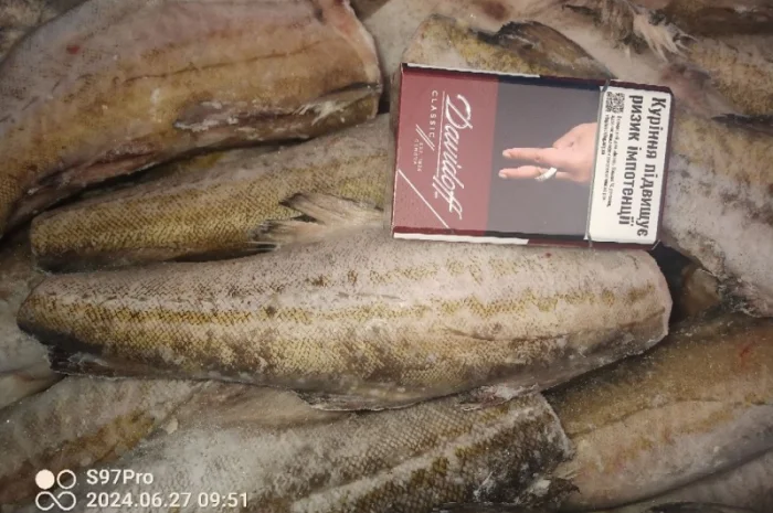 Продажа минтая из Америки- фото № 1