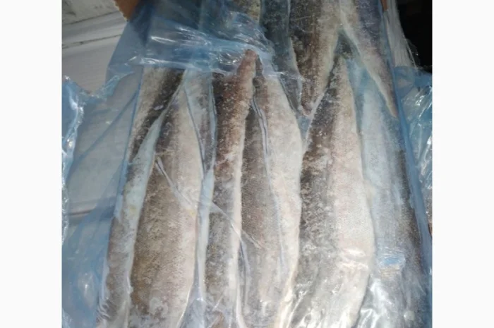 Филе хека на шкуре Аргентина- фото № 1