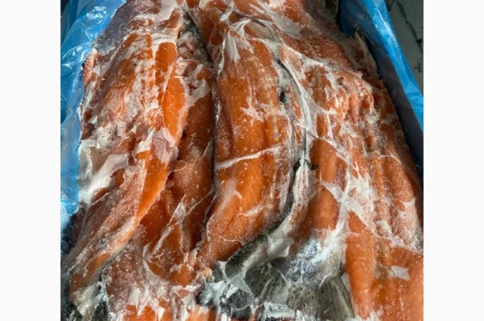 Хребет лосося- фото № 1