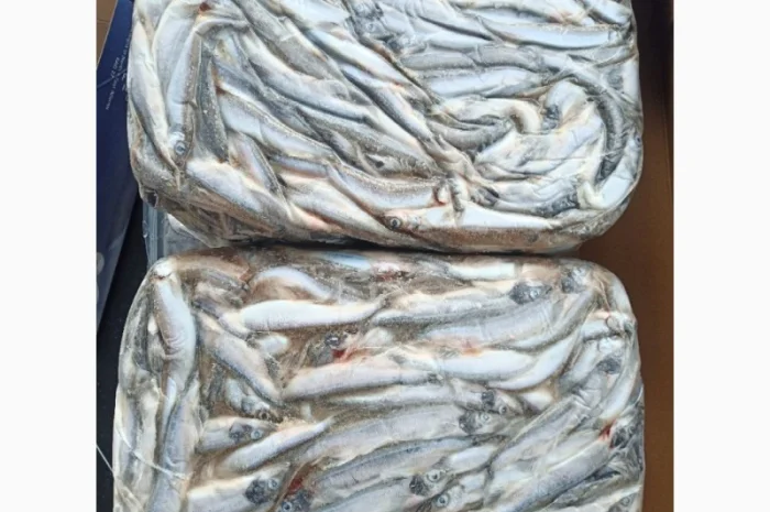 Мойва Норвегія- фото № 1