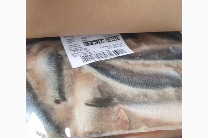 Продажа сельди матиас б/г 4-5 шт/кг из Норвегии- фото № 1