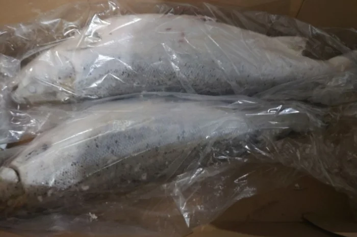 Тушка Лосося Leroy 4-6- фото № 1