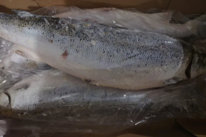 Тушка Лосося Leroy 3-4- фото № 1