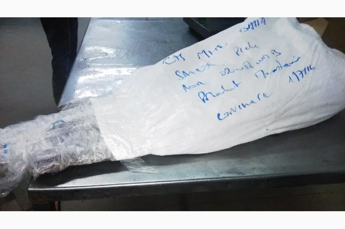 Продажа мороженой пеламиды на борту судна- фото № 12