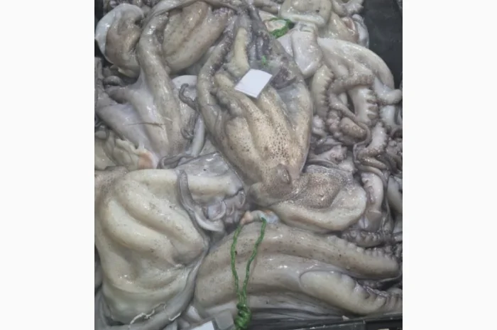 Продажа мороженой пеламиды на борту судна- фото № 10