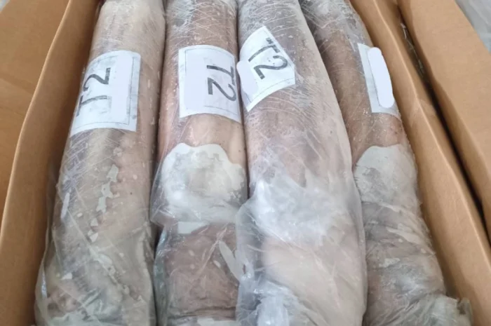 Продажа мороженой пеламиды на борту судна- фото № 6