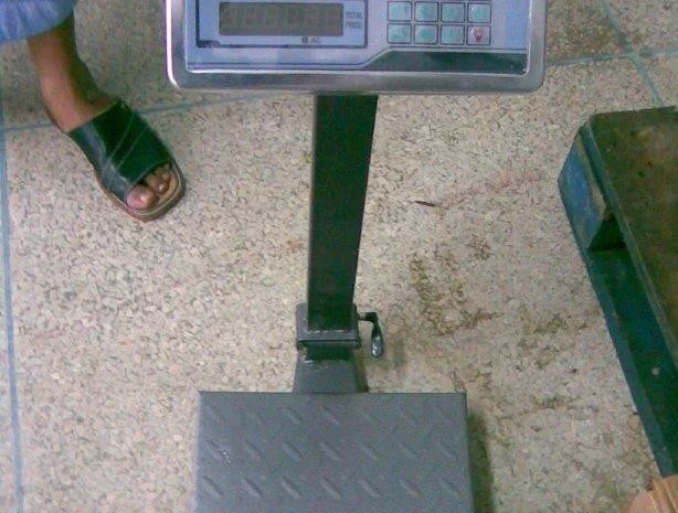 Продажа мороженой пеламиды на борту судна- фото № 19