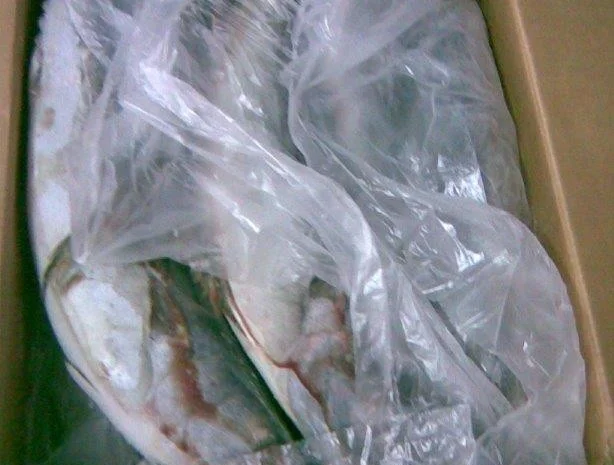 Продажа мороженой пеламиды на борту судна- фото № 1