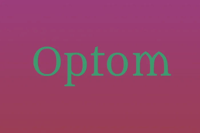 Горбуша холодного копчения в упаковке 2 кг- фото № 1