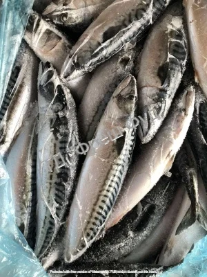 Продам рыбу свежемороженую/ Продам рибу свіжоморожену- фото № 1