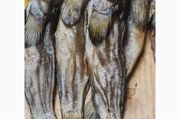 Продам вяленый бычок- фото № 1