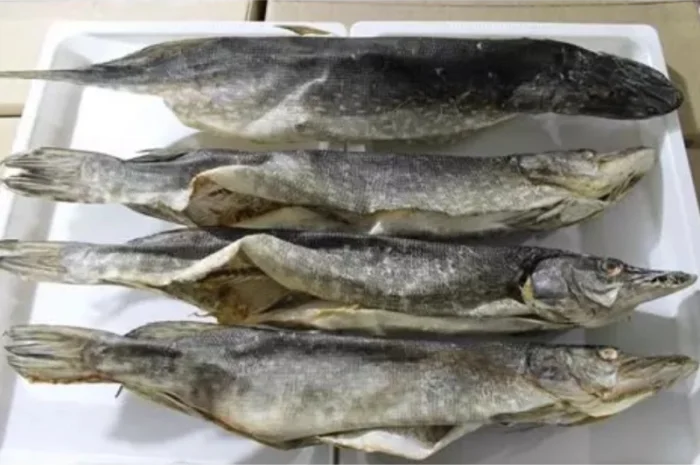 Продам вяленый бычок- фото № 2