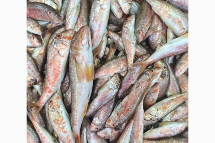 Продам черноморскую барабульку- фото № 1