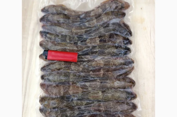 Продам бычок черноморский- фото № 1