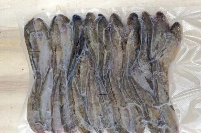 Продам бычок черноморский- фото № 12