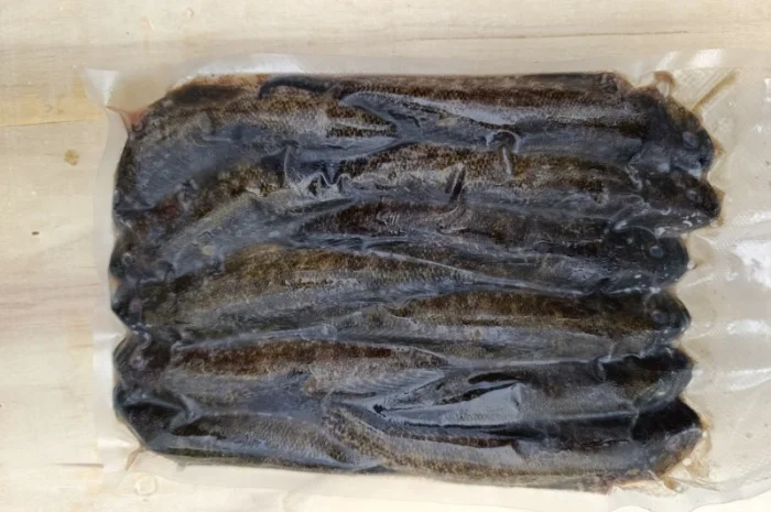 Продам бычок черноморский- фото № 14