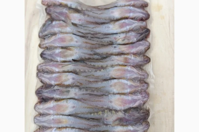 Продам бычок черноморский- фото № 3