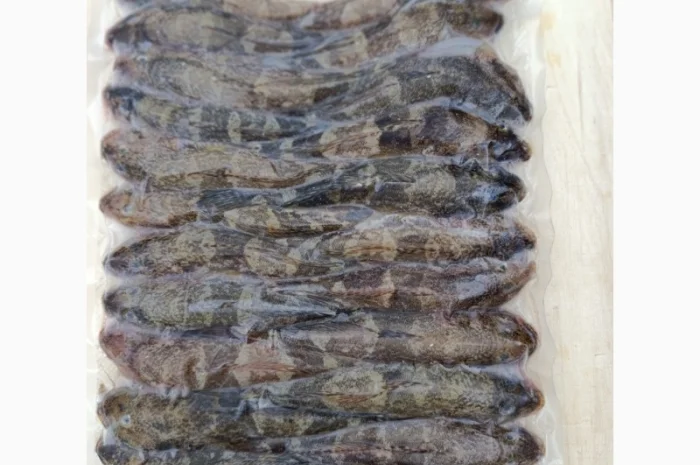 Продам бычок черноморский- фото № 4