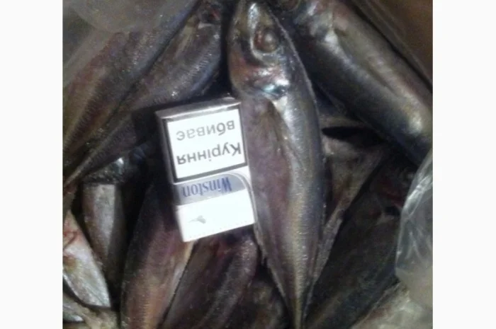 Продаём хек, селёдку, скумбрию и тд- фото № 2