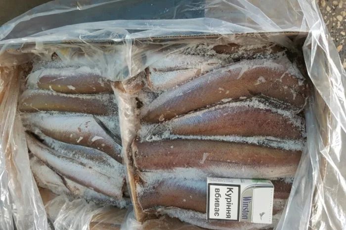 Продаём хек, селёдку, скумбрию и тд- фото № 3