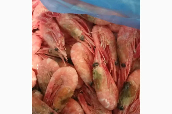 Рыба свежемороженная- фото № 1