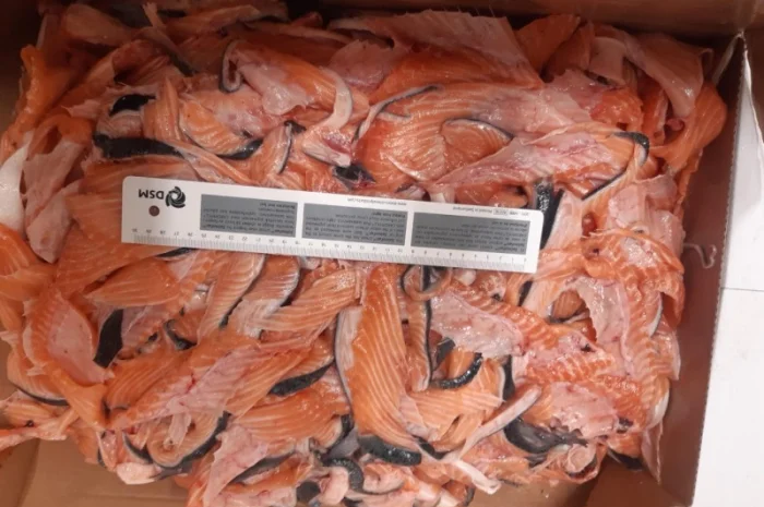 Рыба свежемороженная- фото № 8