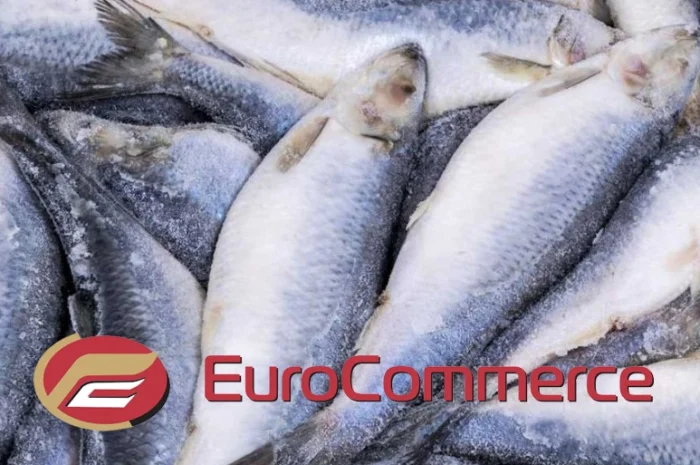 Лосось, Мойва, Оселедець, Риба Аргентина, Скумбрія, Хек. Оптом. Власний імпотрт- фото № 1