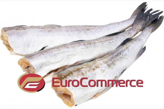 Риба Аргентина морожена оптом. Власний імпорт- фото № 1