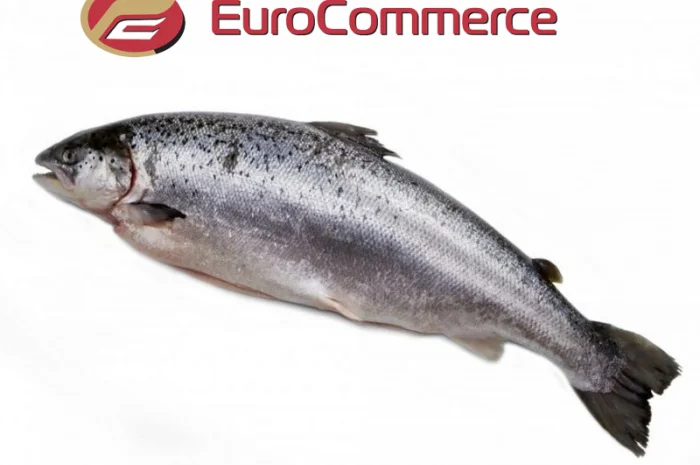 Лосось оптом. Власний імпорт- фото № 1