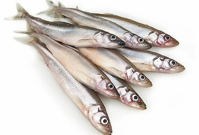 Мойва морожена оптом. Власний імпорт- фото № 1