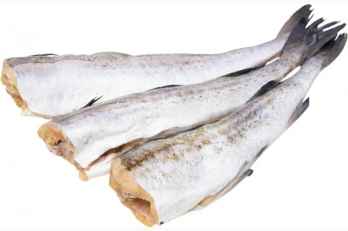 Риба Аргентина морожена оптом. Власний імпорт- фото № 1