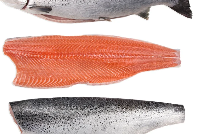 Продаж замороженого лосося та морепродуктів оптом- фото № 1